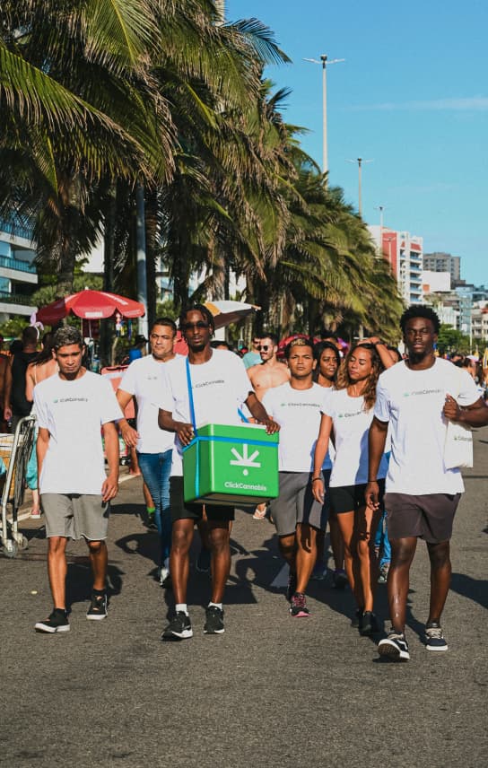 Carnaval no Rio