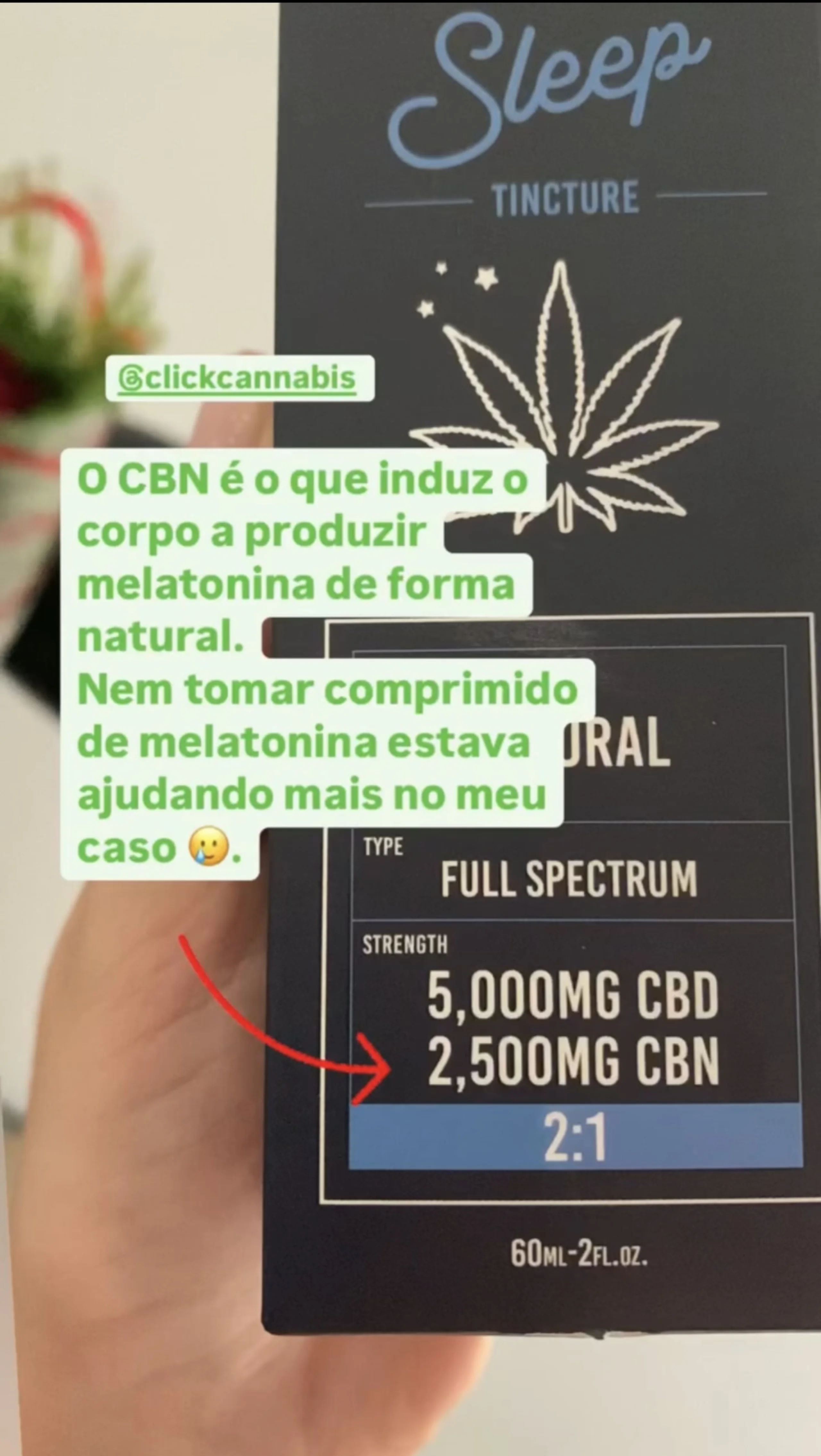 @izabellacescon