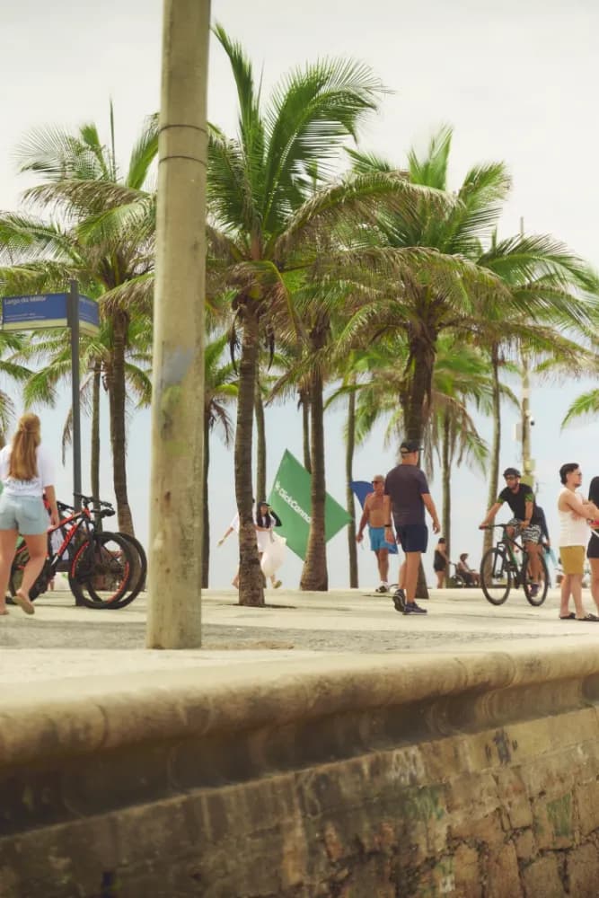 Album do Bandeira Click Cannabis entre coqueiros durante ação socioambiental no Rio