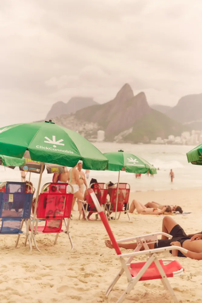 Album do Presença consciente: guarda-sóis verdes Click Cannabis no Arpoador