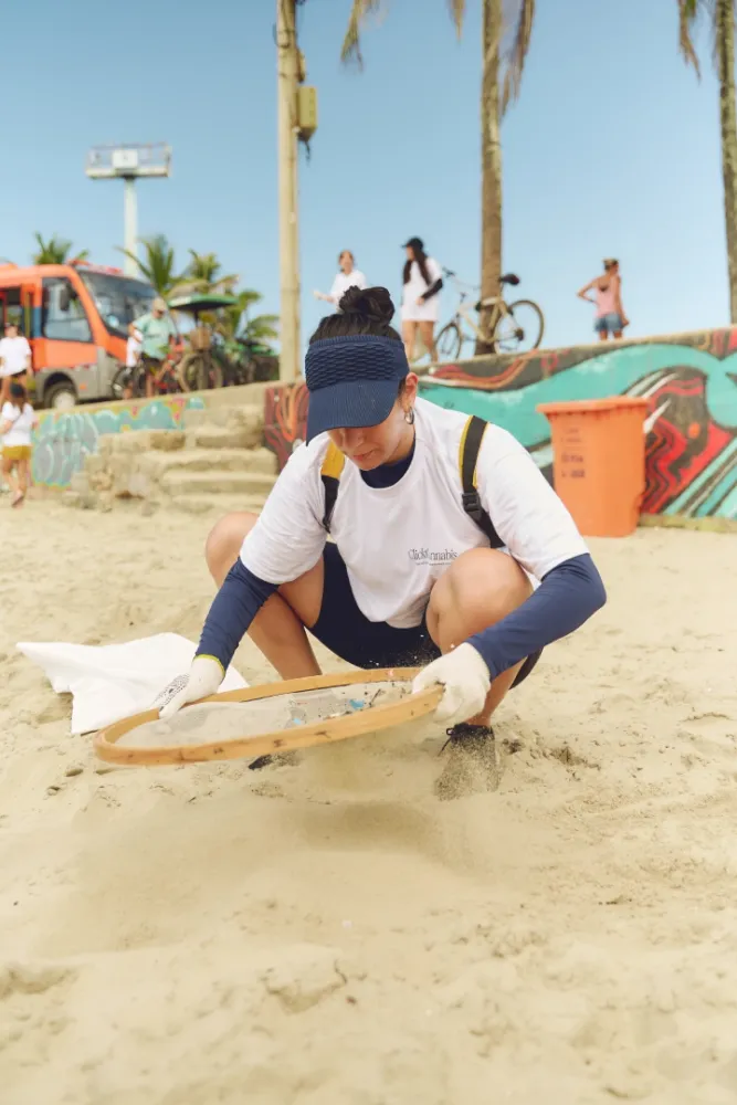 Album do Voluntária peneira areia da praia em busca de microplásticos