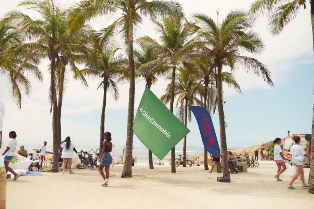 Album do Bandeiras Click Cannabis e Nas Marés em ação socioambiental no Arpoador