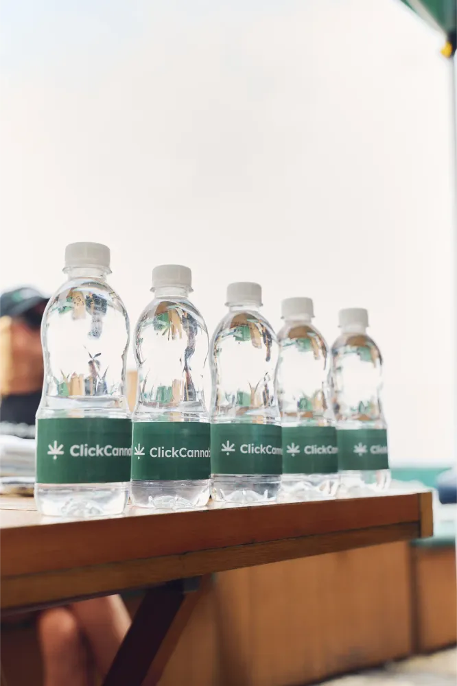 Album do Garrafinhas personalizadas Click Cannabis alinhadas para hidratação dos corredores