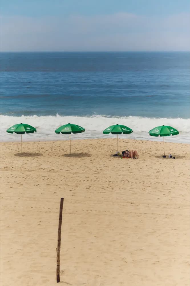 Album do Guarda-sóis verdes Click Cannabis colorindo a paisagem da praia
