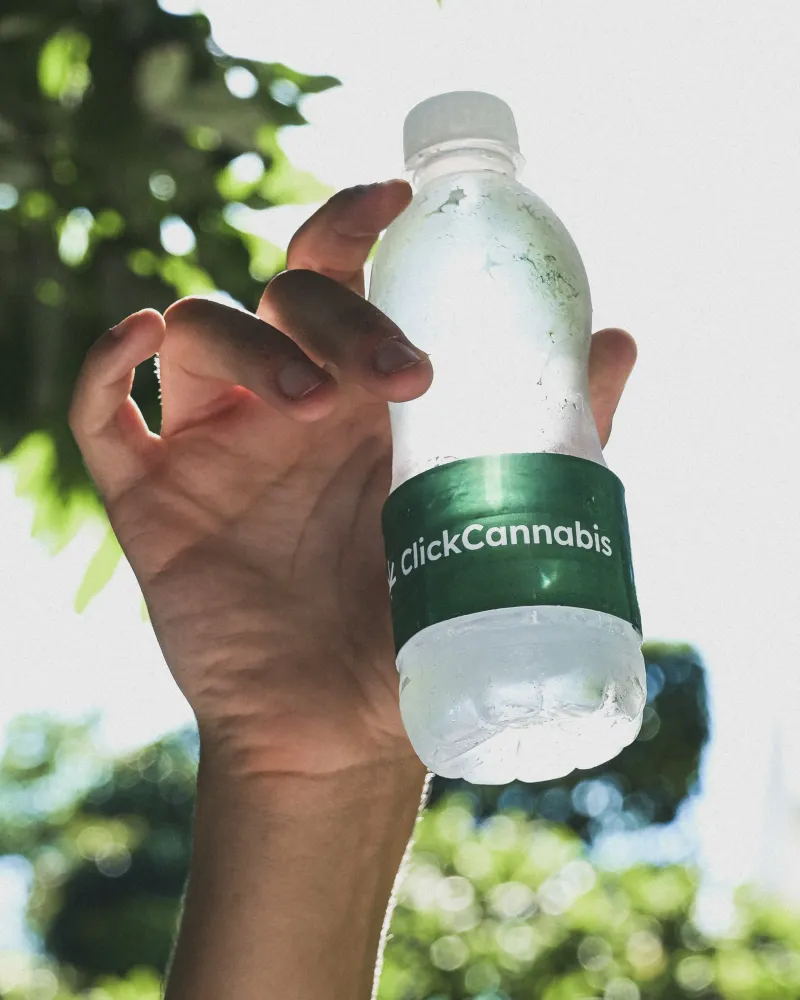 Album do Verão e Click Cannabis