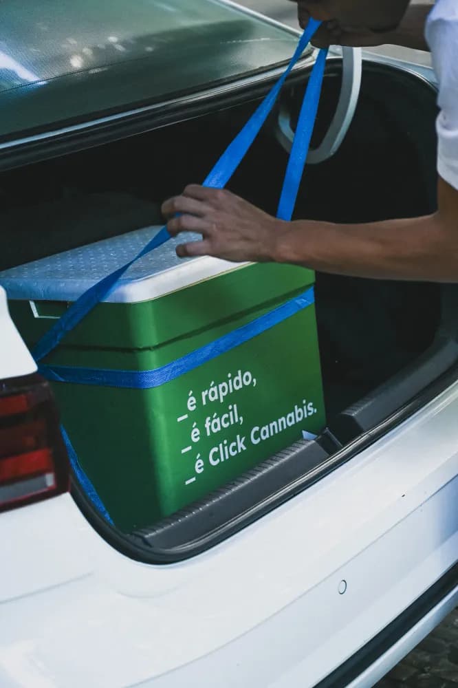 Album do Verão e Click: Cooler verde Click Cannabis