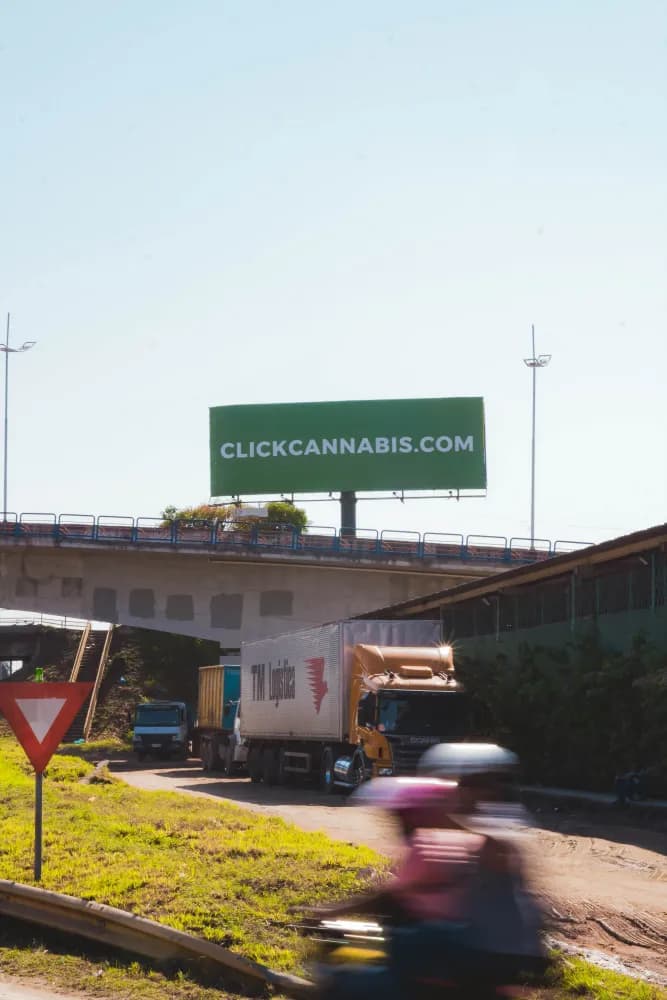 Album do Outdoors Click Cannabis nas ruas