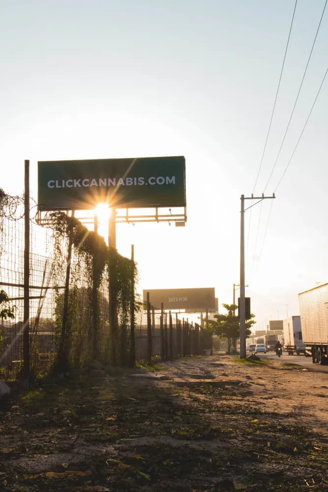 Album do Painel publicitário da Click Cannabis levanta debate sobre cannabis medicinal
