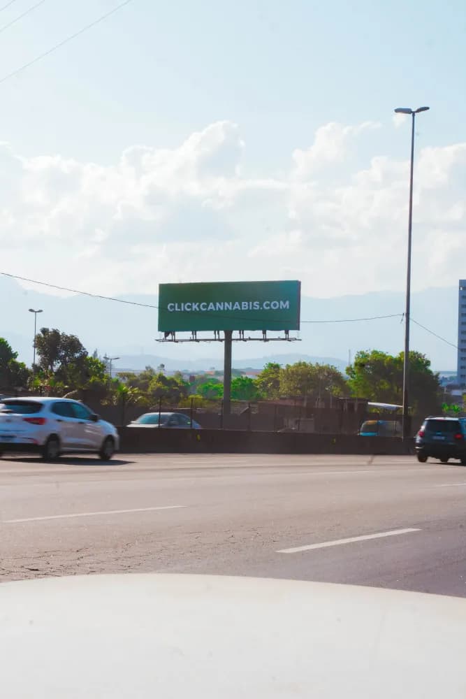 Album do Campanha impactante da Click Cannabis nos principais viadutos urbanos