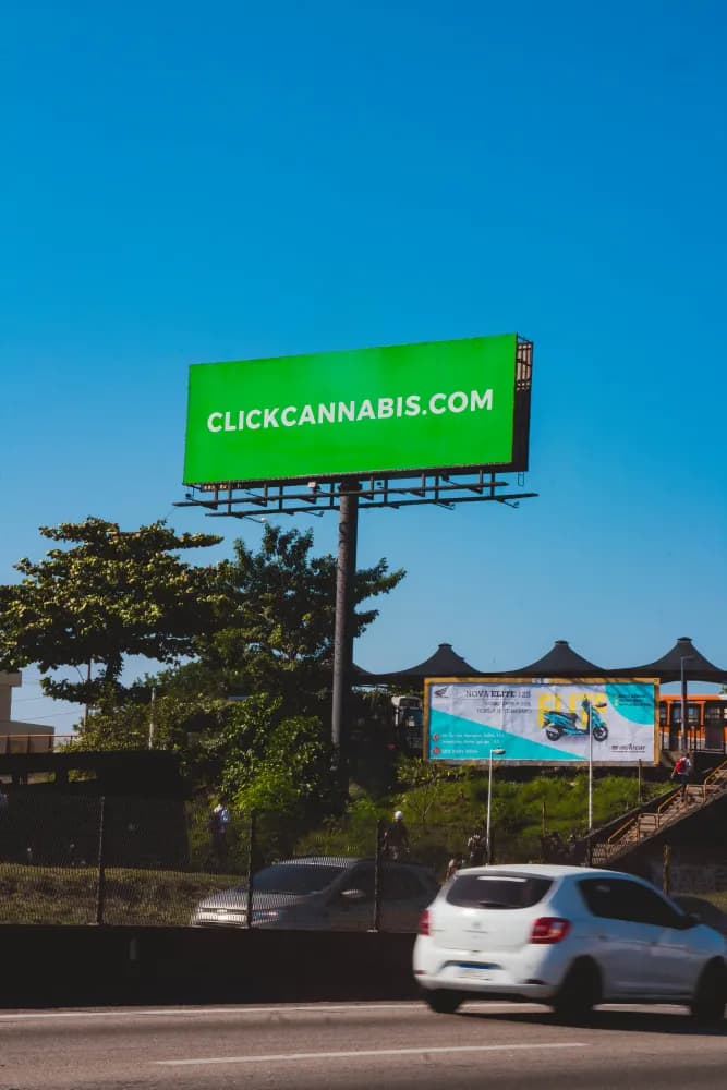 Album do Reforçando a ideia "Cannabis é medicina" com Click Cannabis nas ruas