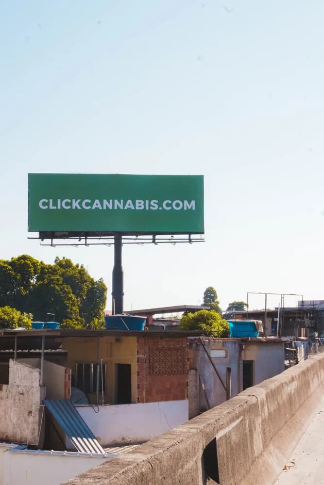 Album do Click Cannabis: provocando o debate sobre cannabis medicinal com presença nas ruas