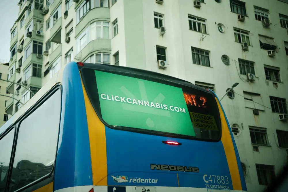 Album do Campanha Click Cannabis estampada em traseira de ônibus urbano na cidade