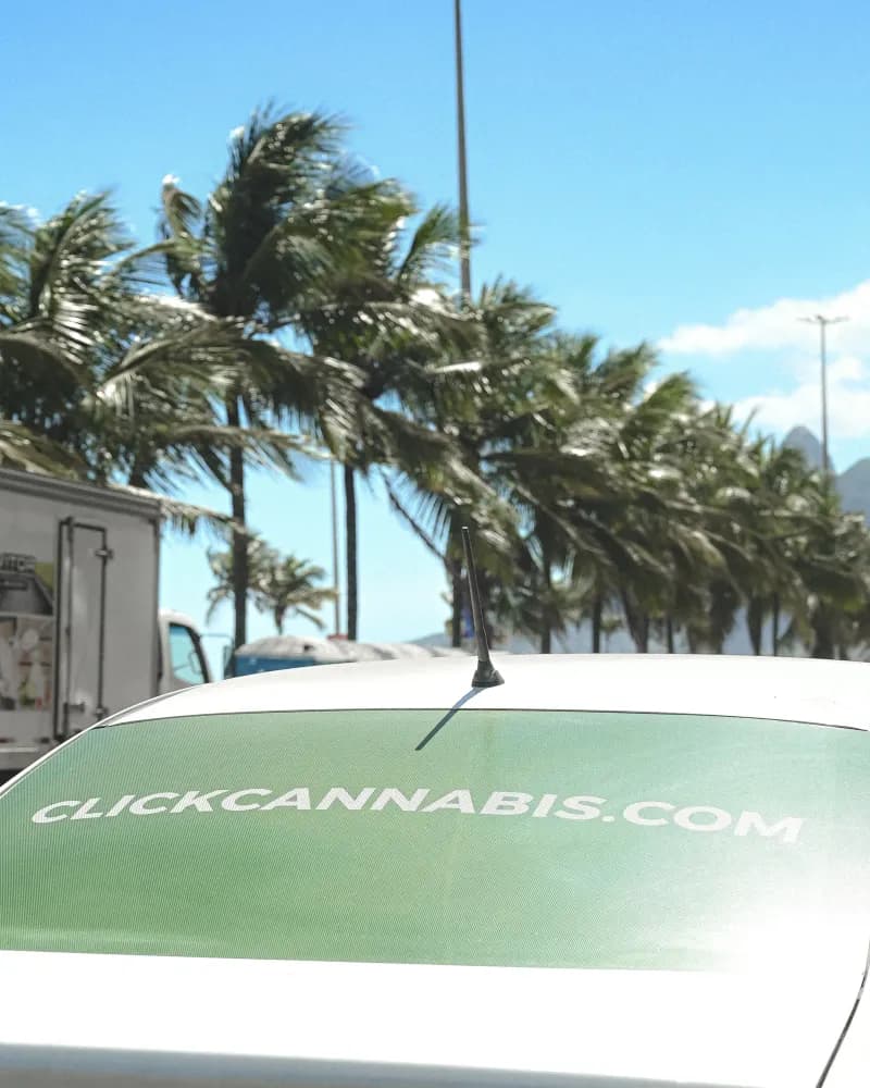 Album do Adesivo da Click Cannabis.com em carro particular com vista para o mar