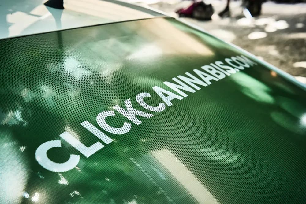 Album do Adesivo Click Cannabis em vidro traseiro de veículo