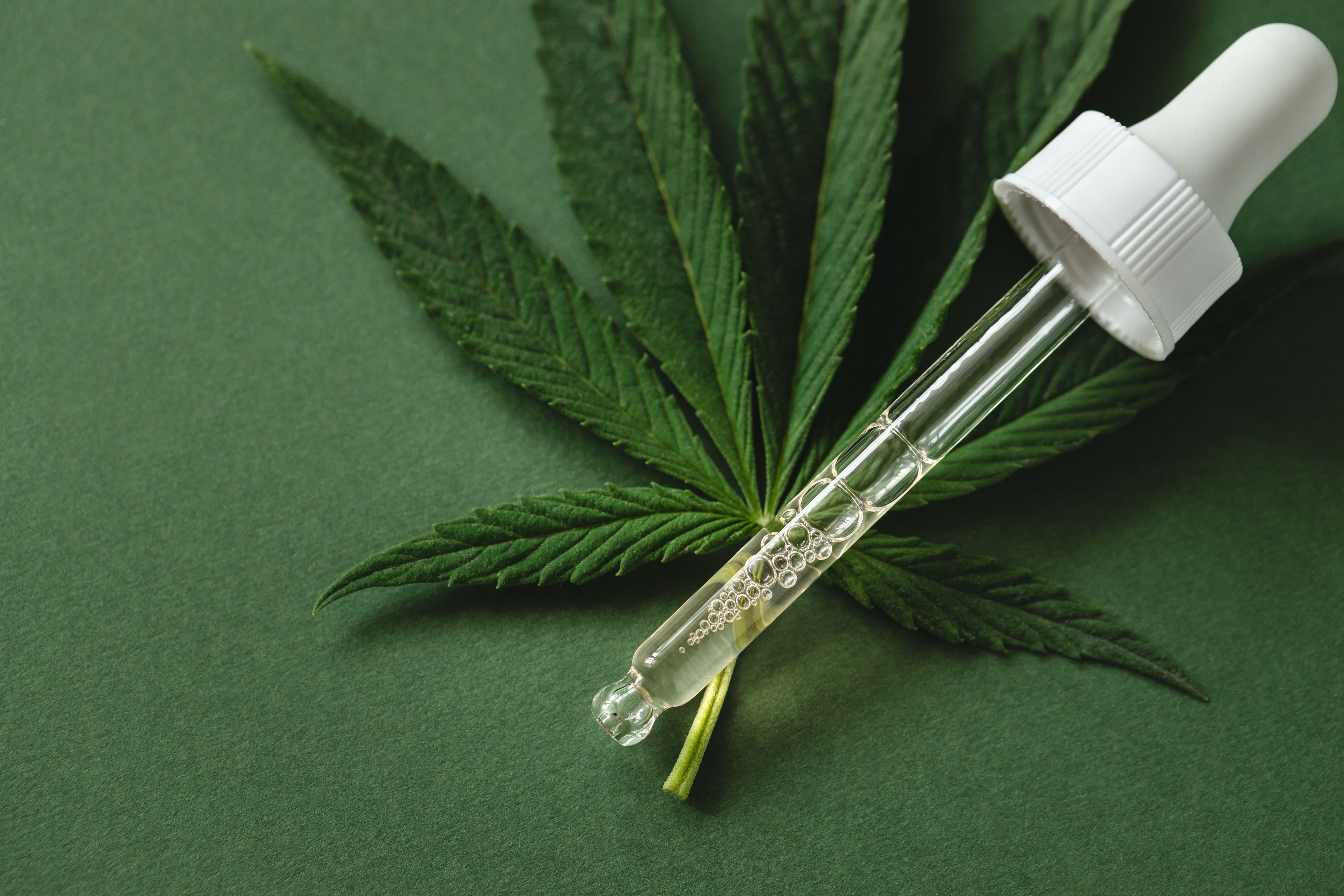 Folha de cannabis ao fundo e um conta-gotas com óleo de CBD em destaque.
